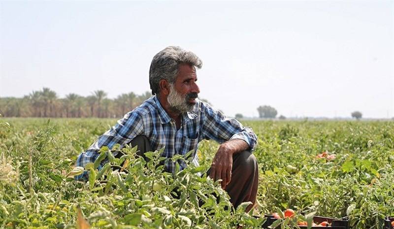 نبود اتحادیه محصولات از مشکلات کشاورزی جنوب استان کرمان است